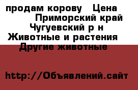 продам корову › Цена ­ 60 000 - Приморский край, Чугуевский р-н Животные и растения » Другие животные   